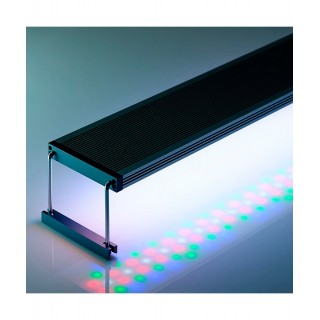 Luce per Acquario, Lampada LED Acquario con Clip 3 Colori LED Luce Acquario  16 LED Luce Acquario 6W 600LM per 1-5 mm di Spessore Acquario, per  Llluminazione Acquario (Nero) : : Prodotti