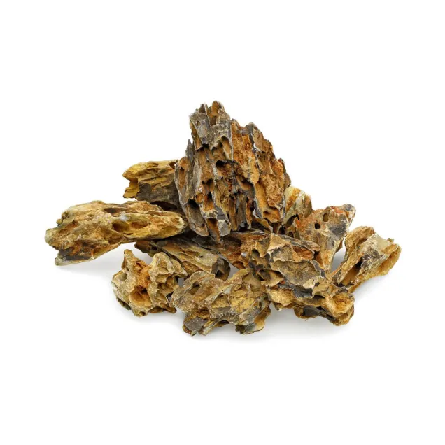 Dragon stone Roccia Ohko