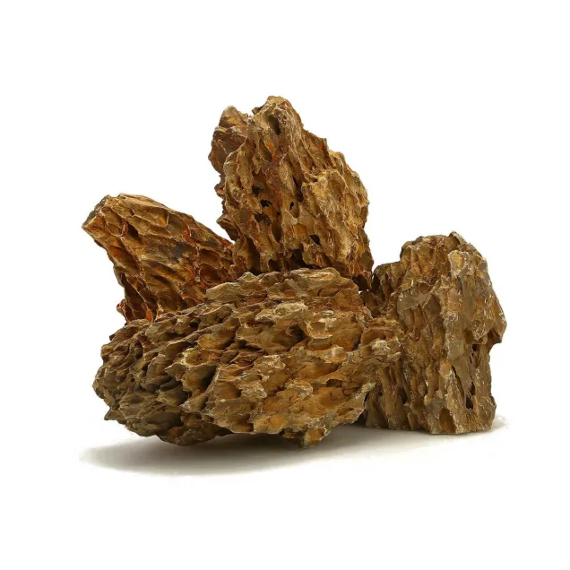 Dragon stone Roccia Ohko