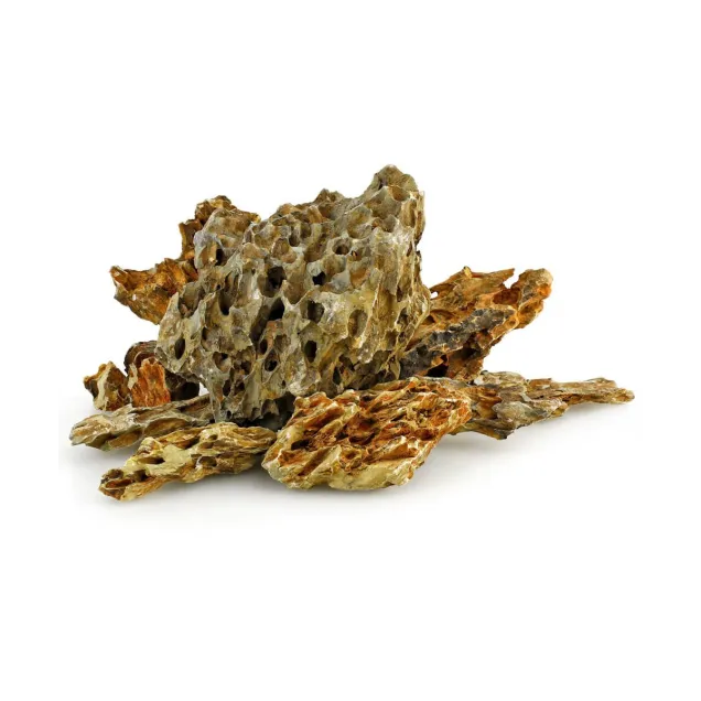 Dragon stone Roccia Ohko