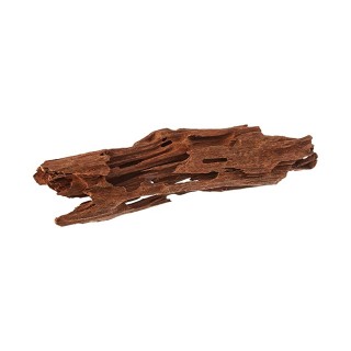 Tronco di legno per composizione di piante