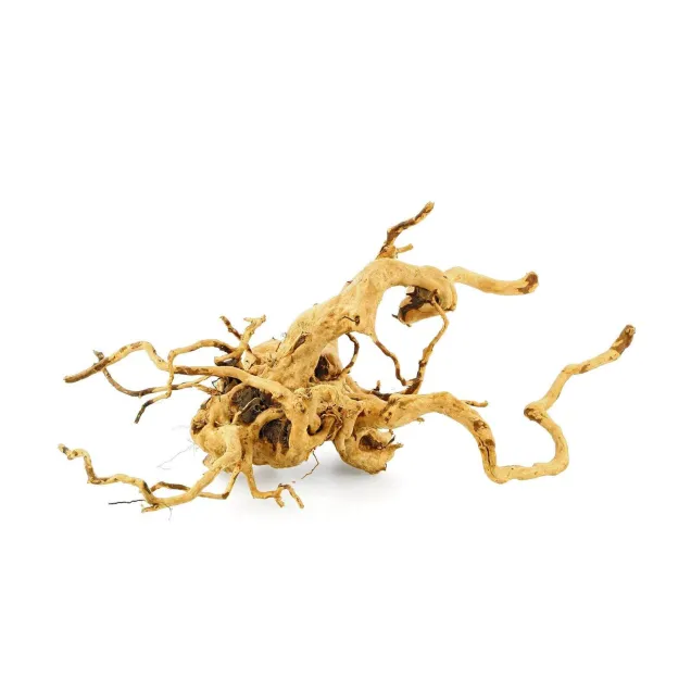 Legno Red Wood radice per acquari e terrari