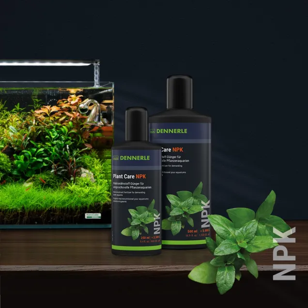 Dennerle Plant care NPK fertilizzante macronutriente per piante d'acquario