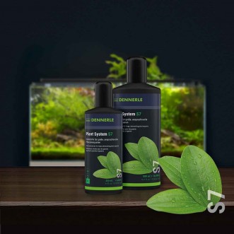 Dennerle Plant system S7 vitamine per piante e pesci
