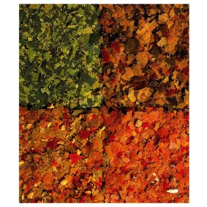 Tetra Menu 250 ml Mangime con 4 fiocchi per un alimentazione varia dei pesci d'acquario 2