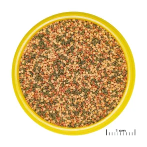 JBL Pronovo Bel Grano S - Mangime in granuli per pesci d'acquario di 3-10 cm 2