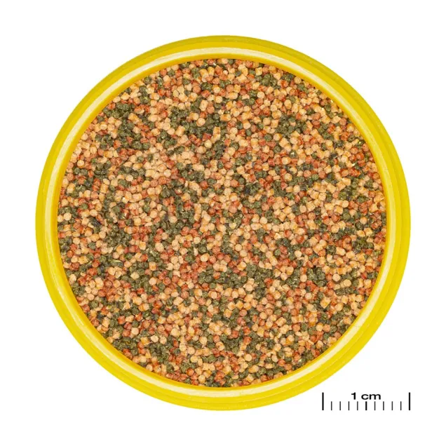 JBL Pronovo Bel Grano S - Mangime in granuli per pesci d'acquario di 3-10 cm