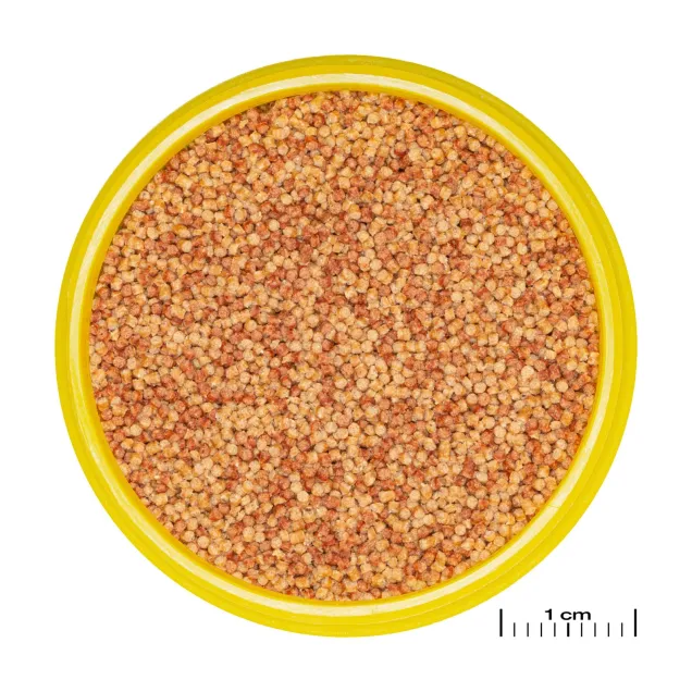 JBL Pronovo Color Grano S - Mangime colorato in granuli per colori accesi per tutti i pesci d'acquario da 3-10 cm