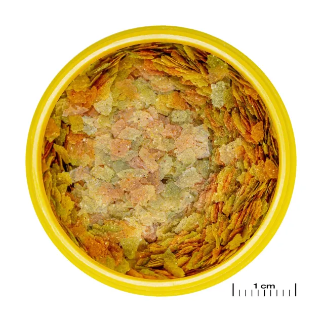 JBL Pronovo Betta Flakes S - Mangime principale in fiocchi per pesci combattenti da 3-10 cm