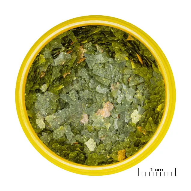 JBL Pronovo Guppy Flakes S - Mangime di base in fiocchi per guppy e altri vivipari da 3-10 cm