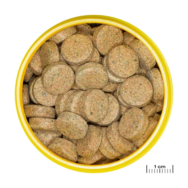 JBL Pronovo Tab M - Mangime in pastiglie per pesci da fondo d'acquario