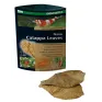Dennerle 5916 Nano Catappa Leaves Foglie di mandorlo indiano per acquario