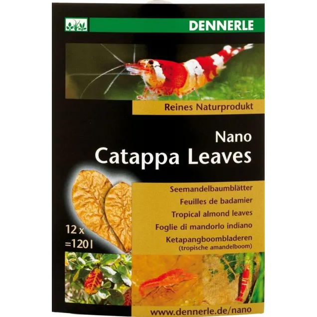 Dennerle 5916 Nano Catappa Leaves Foglie di mandorlo indiano per acquario