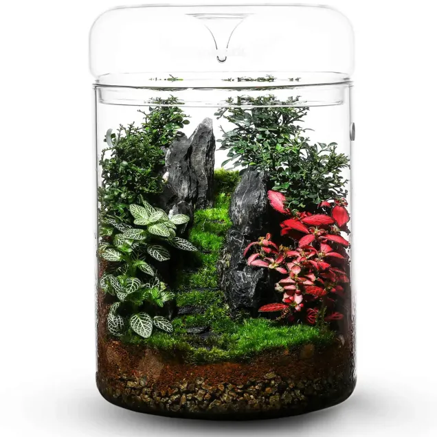 Bioloark Luji Glass Cup terrario in vetro esempio allestimento 2