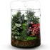 Bioloark Luji Glass Cup terrario in vetro esempio allestimento 2