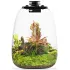 Bioloark Bio Bottle QD172 Terrario in vetro con sistema di aerazione e illuminazione LED