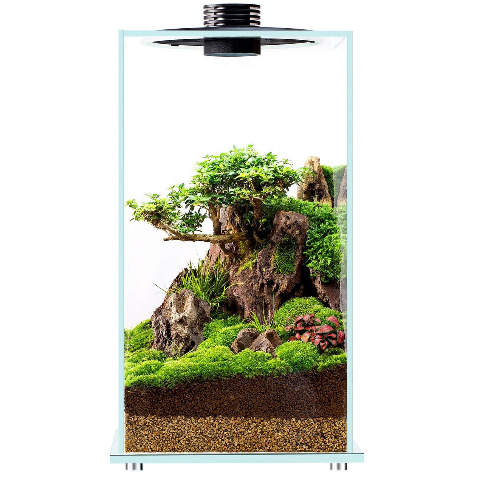 Bioloark Bio Bottle FD200 terrario in vetro con sistema di aerazione e illuminazione LED