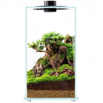 Bioloark Bio Bottle FD200 terrario in vetro con sistema di aerazione e illuminazione LED