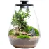 Bioloark Bio Bottle SD terrario a goccia in vetro con sistema di aerazione e illuminazione LED