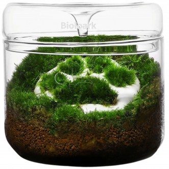 Bioloark Wabi-Kusa Set terrario completo con LED
