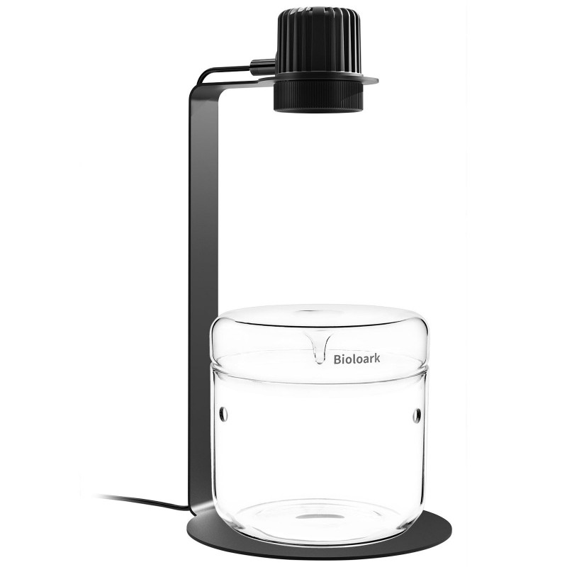 Bioloark Wabi-Kusa Set terrario completo con LED