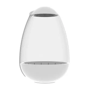 Chihiros Tiny Terrarium Egg Mini Terrario con Illuminazione LED esempio allestimento 2