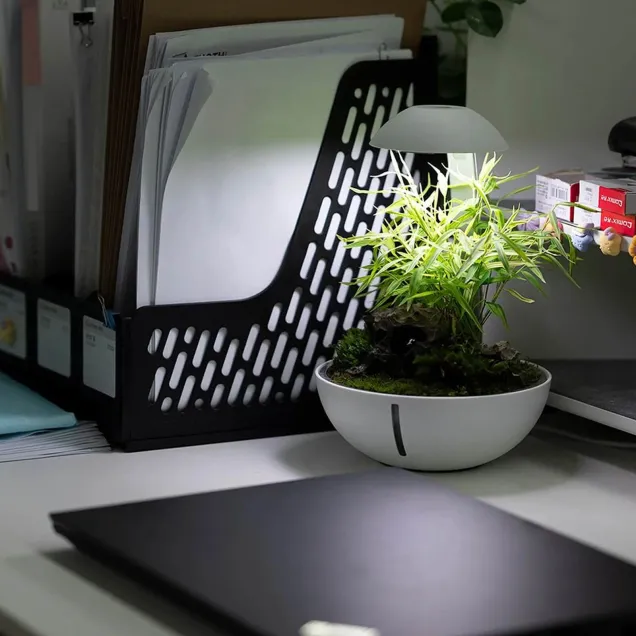 Chihiros Tiny Terrarium Egg esempio