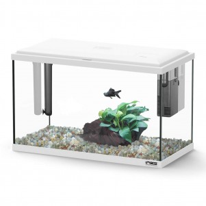 Sicce Acquario Moby Dick 40 New - 22 litri completo di accessori bianco