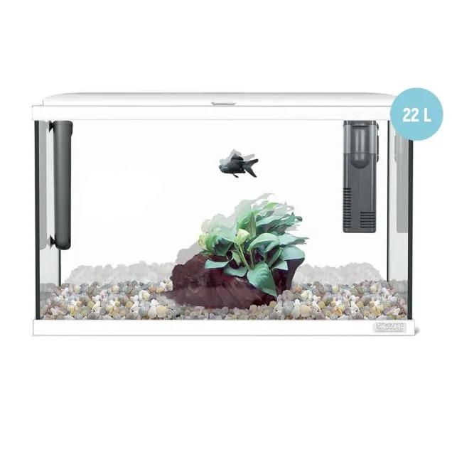 Sicce Acquario Moby Dick 40 New - 22 litri completo di accessori