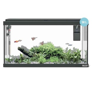 Sicce Acquario Moby Dick 60 New - 58 litri completo di accessori