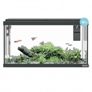 Sicce Acquario Moby Dick 60 New - 58 litri completo di accessori
