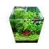 Blau Aquaristic CUBIC Aquariums 25x25x30cm 19lt acquario in vetro