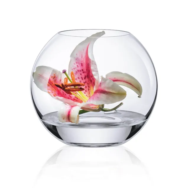 Rona Vaso in cristallo per marimo 15,5 cm