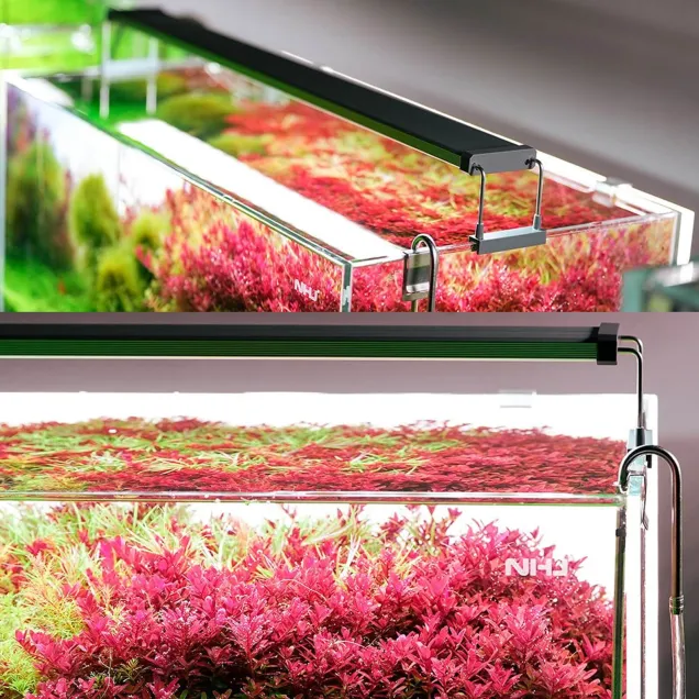 Chihiros B series Plafoniera Led RGB con Controller App incluso