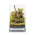 Acquario Aqpet Kubic 15 Air in vetro extrachiaro da 5 mm con coperchio in vetro removibile