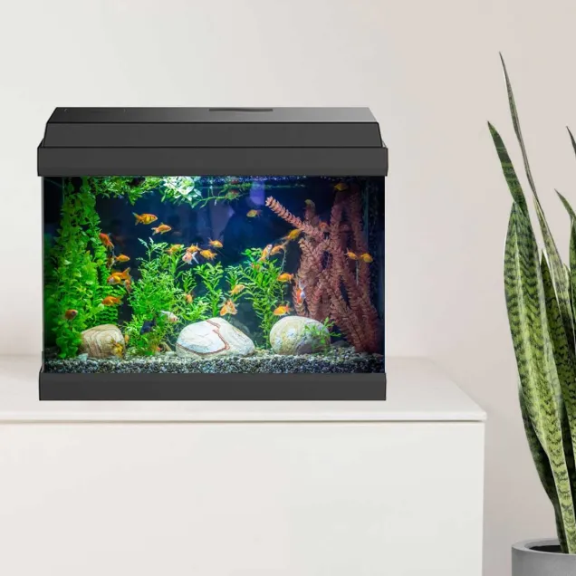 AQPet Simply LED 30 Set