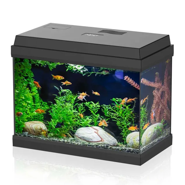 AQPet Simply LED 30 Set - acquario completo con luce LED e filtro 30 litri