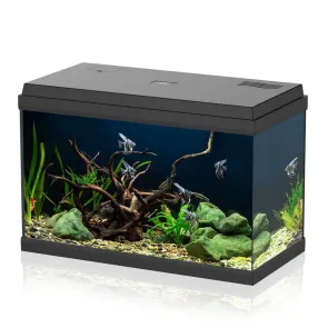 Aqpet Simply LED 60 Nero Set acquario completo 60 litri con filtro Bio Box e riscaldatore