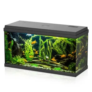 Aqpet Simply LED 100 Nero acquario completo 100 litri con doppia luce LED, filtro Bio Box e riscaldatore