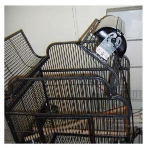 Plafoniera Arcadia Compact Lighting Unit E27 per gabbie di uccelli e terrari 2