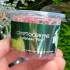 Cryptocoryne Balansae Pink - In Vitro Cup