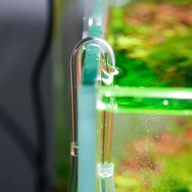 Chihiros U Clip guida tubo CO2 acrilico per acquario 4 6 mm