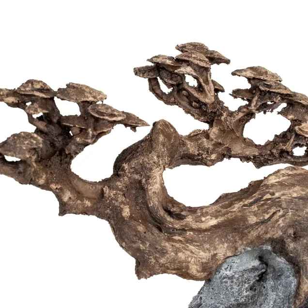 Aqpet Zen Bonsai resina Mod. 10