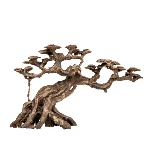 Aqpet Zen Bonsai resina Mod. 12 2