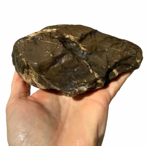 Frodo Stone 1 foto reale 2