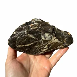 Frodo Stone 1 foto reale