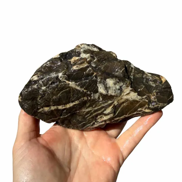 Frodo Stone 1 foto reale