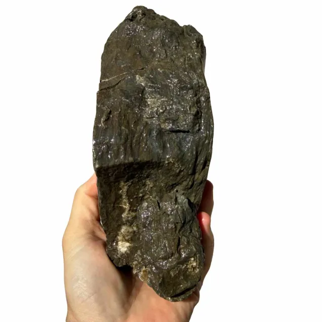 Frodo Stone 2 foto reale