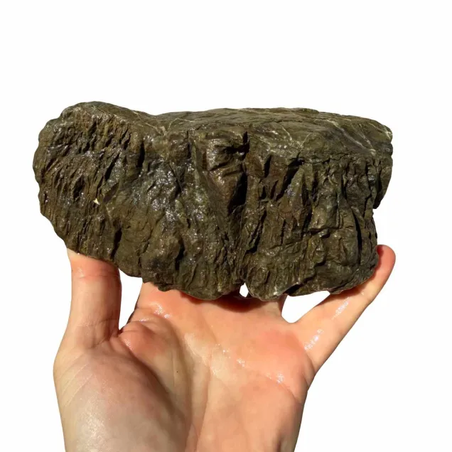 Frodo Stone 2 foto reale