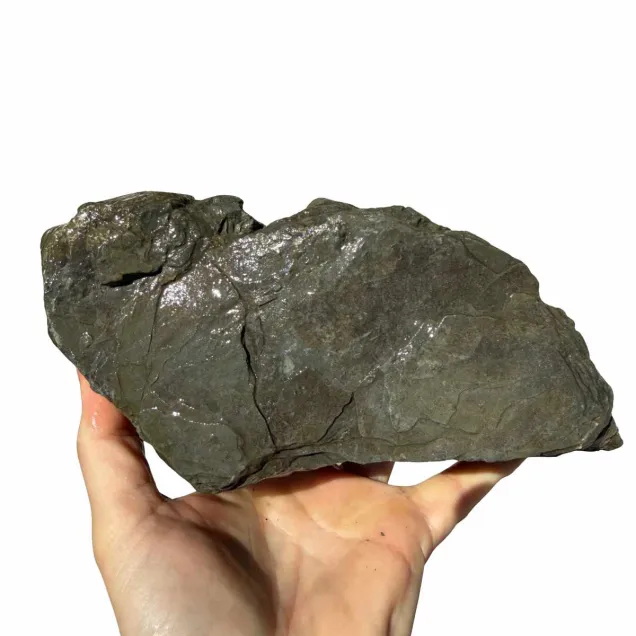 Frodo Stone 2 foto reale